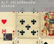 Alt Falkenhagen gokken