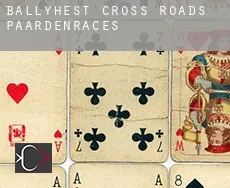 Ballyhest Cross Roads  paardenraces