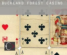 Buckland Forest  casino