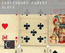 Canterbury Forest  slots