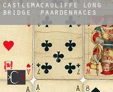 Castlemacauliffe Long Bridge  paardenraces