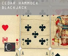 Cedar Hammock  blackjack