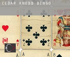Cedar Knobb bingo