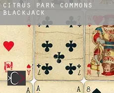 Citrus Park Commons  blackjack