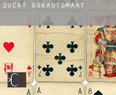 Ducat  gokautomaat