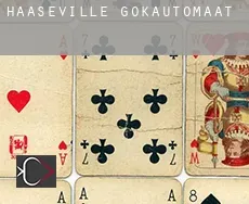 Haaseville  gokautomaat