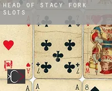 Head of Stacy Fork  slots