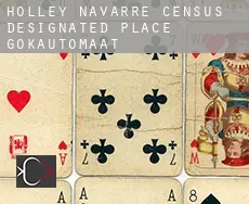 Holley Navarre  gokautomaat