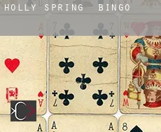 Holly Spring  bingo