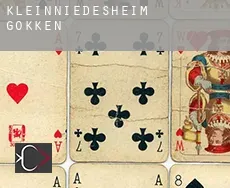 Kleinniedesheim  gokken