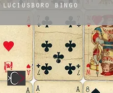 Luciusboro  bingo