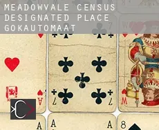 Meadowvale  gokautomaat