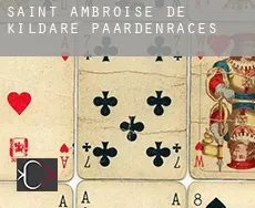 Saint-Ambroise-de-Kildare  paardenraces