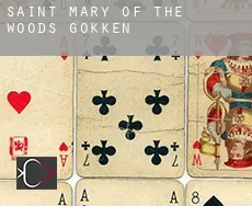 Saint Mary-of-the-Woods  gokken