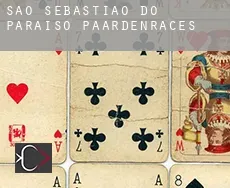 São Sebastião do Paraíso paardenraces