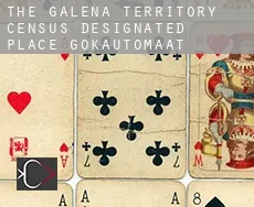 The Galena Territory  gokautomaat