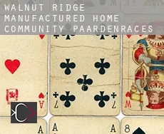 Walnut Ridge Manufactured Home Community  paardenraces