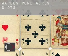 Waples Pond Acres slots