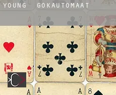 Young gokautomaat