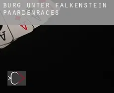 Burg Unter-Falkenstein paardenraces