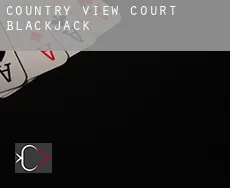 Country View Court blackjack