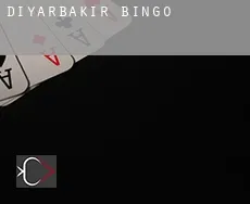 Diyarbakır  bingo