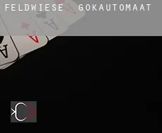Feldwiese  gokautomaat