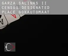Garza-Salinas II  gokautomaat