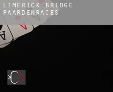Limerick Bridge  paardenraces
