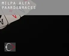 Milpa Alta  paardenraces