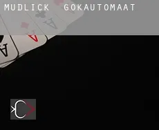 Mudlick  gokautomaat