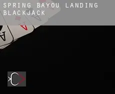 Spring Bayou Landing  blackjack