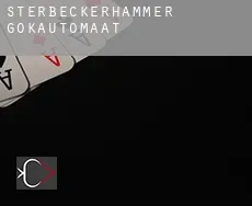 Sterbeckerhammer  gokautomaat