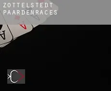 Zottelstedt  paardenraces