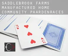 Saddlebrook Farms Manufactured Home Community  paardenraces