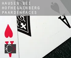 Hausen bei Hofhegnenberg  paardenraces