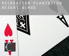 Recreation Plantation Resort bingo