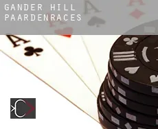 Gander Hill  paardenraces