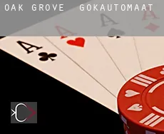 Oak Grove  gokautomaat