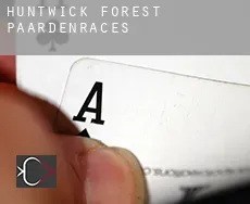 Huntwick Forest  paardenraces