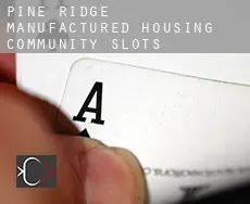 Pine Ridge Manufactured Housing Community  slots