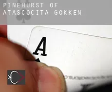 Pinehurst of Atascocita  gokken