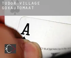 Tudor Village gokautomaat