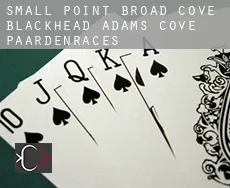 Small Point-Broad Cove-Blackhead-Adams Cove  paardenraces