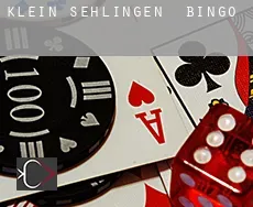 Klein Sehlingen  bingo