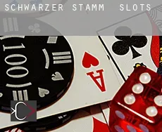 Schwarzer Stamm slots