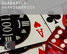 Shangrila  paardenraces