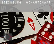 Steinburg  gokautomaat