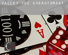 Valley Vue  gokautomaat