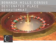 Bonanza Hills  gokautomaat